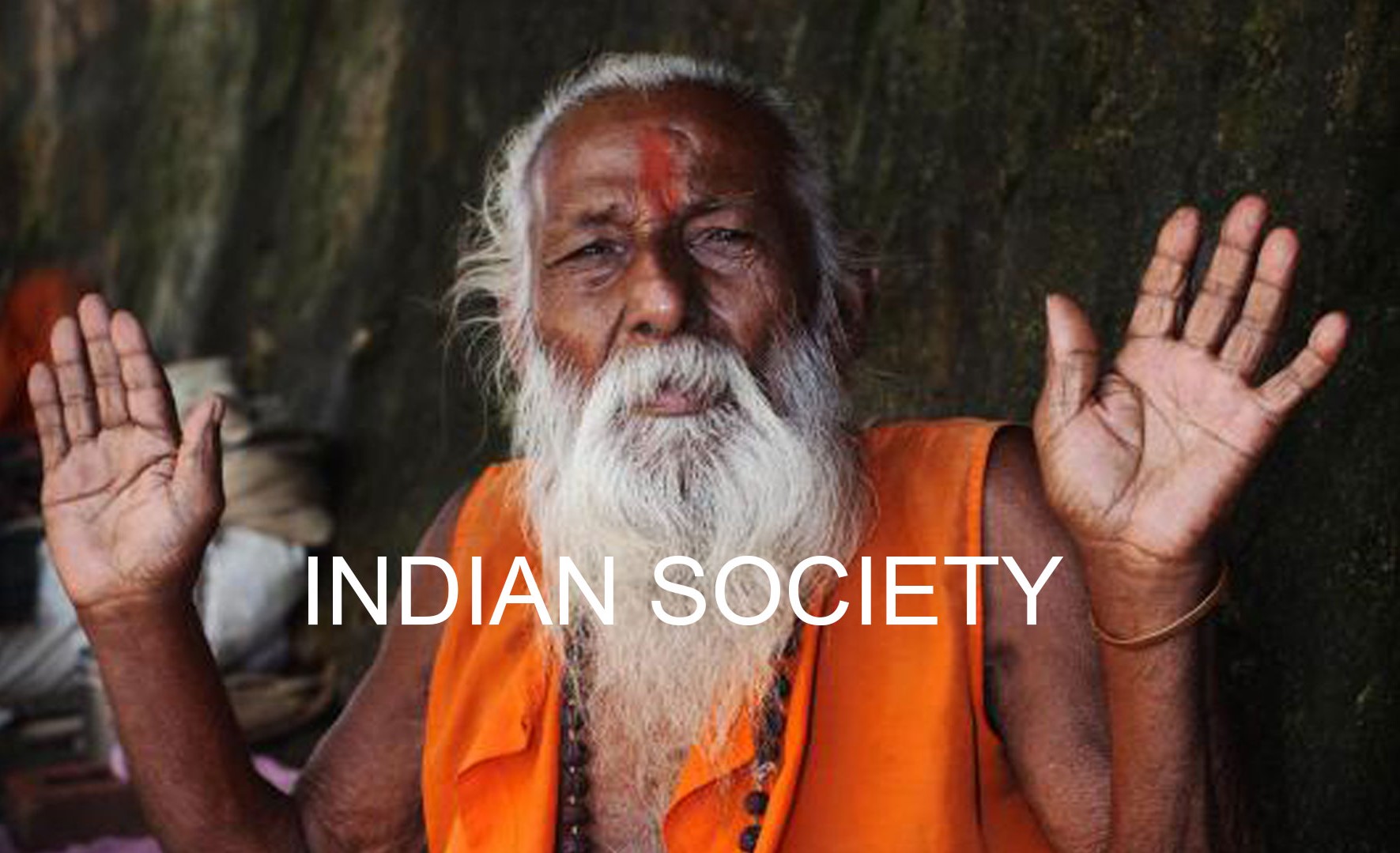 Indian society